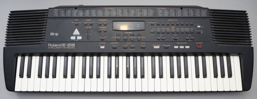roland_e-28.jpg