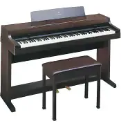 clp-55.webp