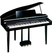 clp-555.webp