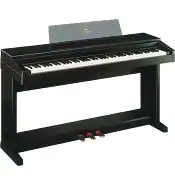 CLP-570