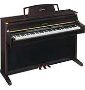 CLP-880