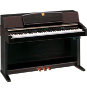 CLP-970