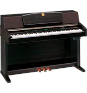 clp-970.webp