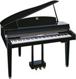 CLP-175