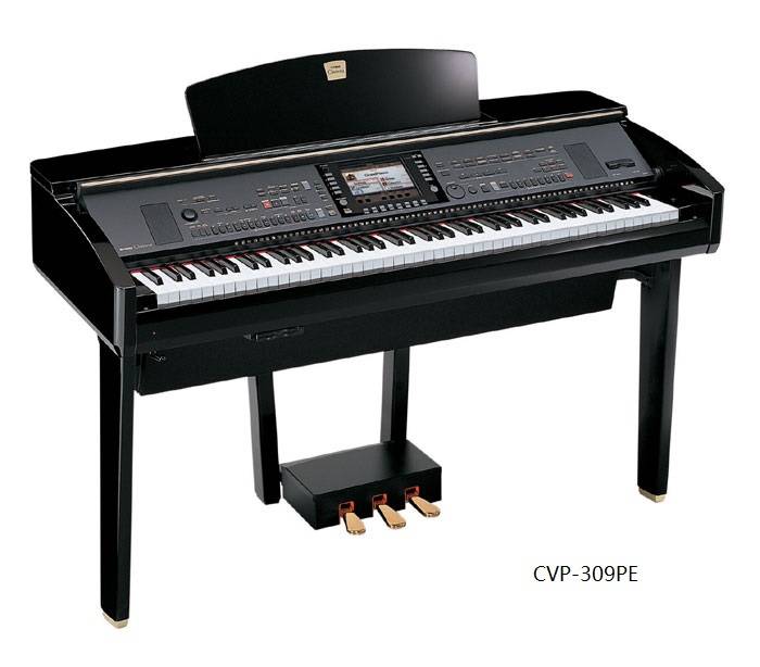 cvp-309pe-b.jpg
