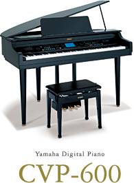 cvp600.jpg