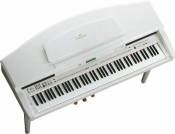 CVP-89WH