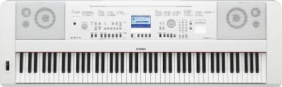DGX-650WH