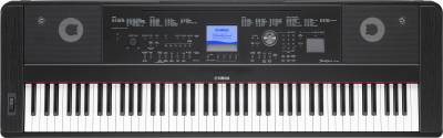 DGX-660B