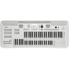 ELA-1 主体