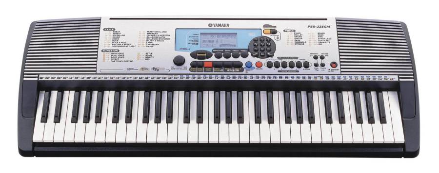 psr-225gm.jpg