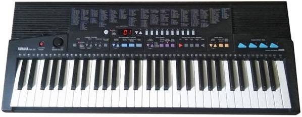 psr-310.jpg