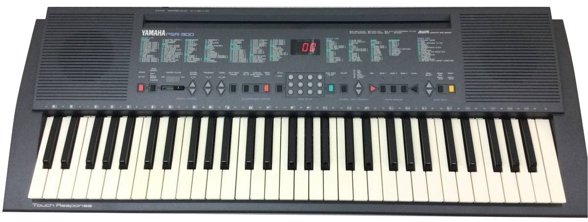PSR-300