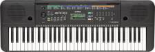 PSR-E253