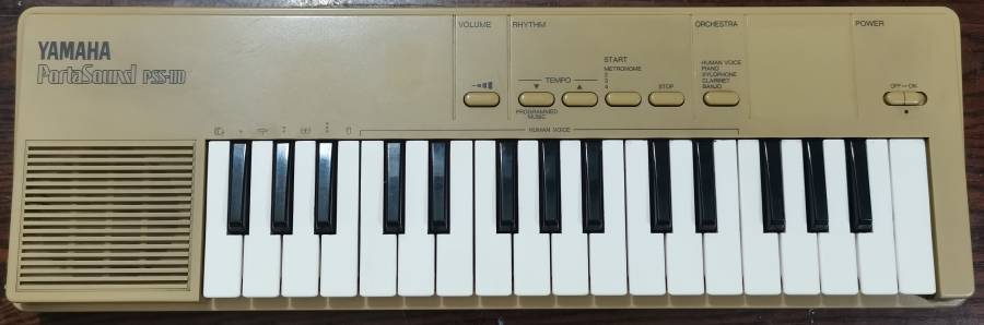 pss-110.jpg