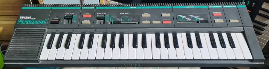 pss-160.jpg