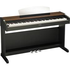 YDP-213